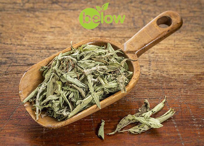 چرا استویا گزینه بهتری برای افراد با مشکلات گوارشی است؟