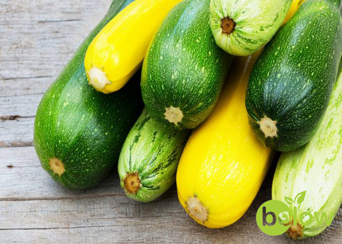 کدو برای بیماران دیابتی