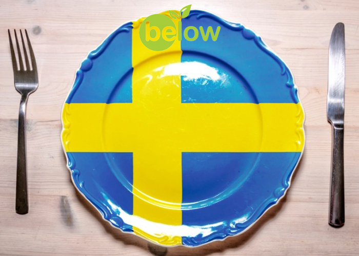 رژیم سوئدی چیست؟