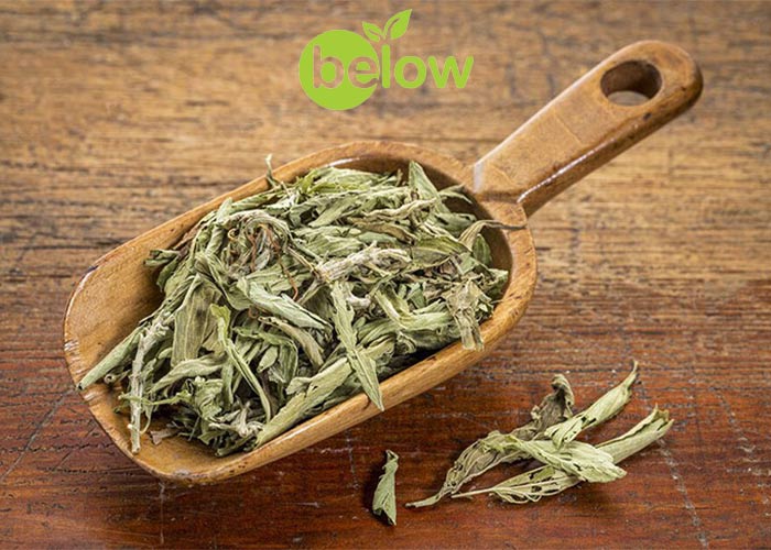 خواص استویا در طب سنتی