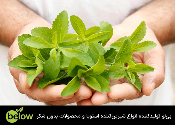 عصاره برگ استویا یا شیرین کننده طبیعی برای کودکان