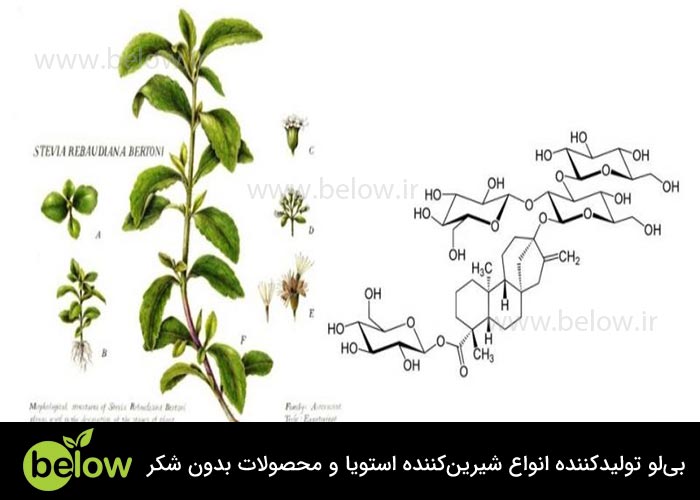گلیکوزیدهای استویول و تأثیر آن‌ها بر طعم شیرینی