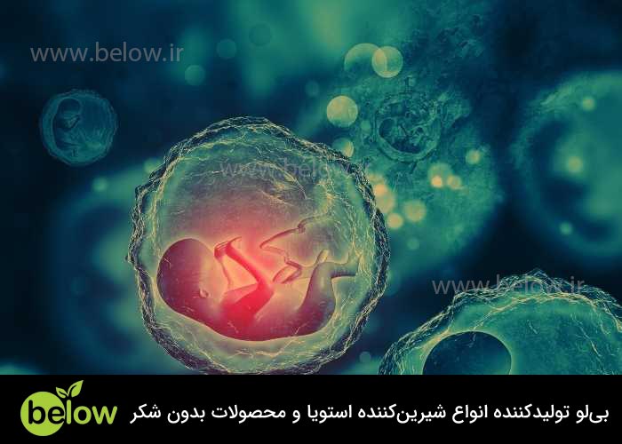 اثرات قند مصنوعی بر وزن جنین: آیا خطرناک است؟