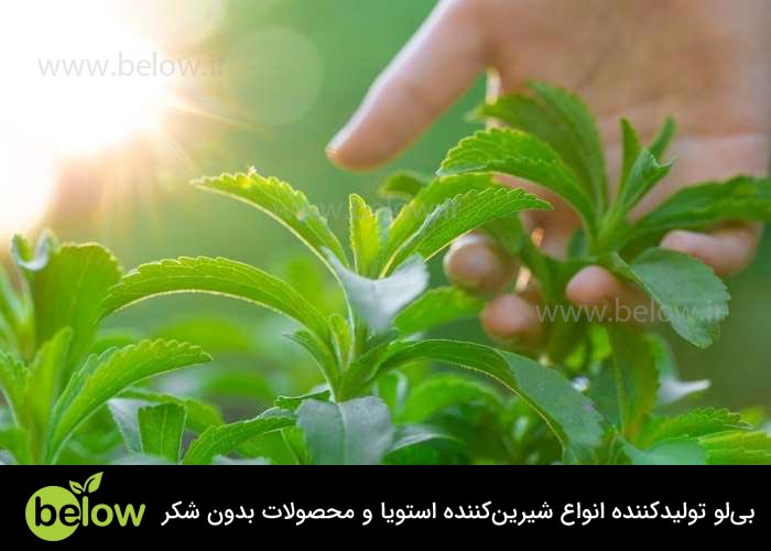خرید استویا