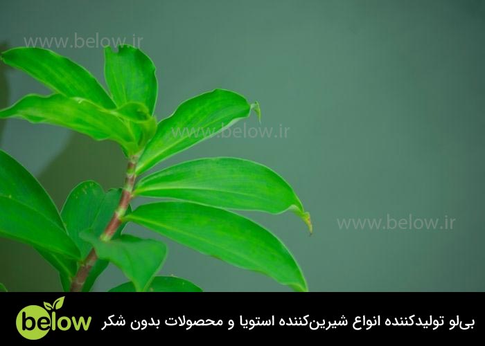 نظرات عمومی پزشکان در مورد استویا