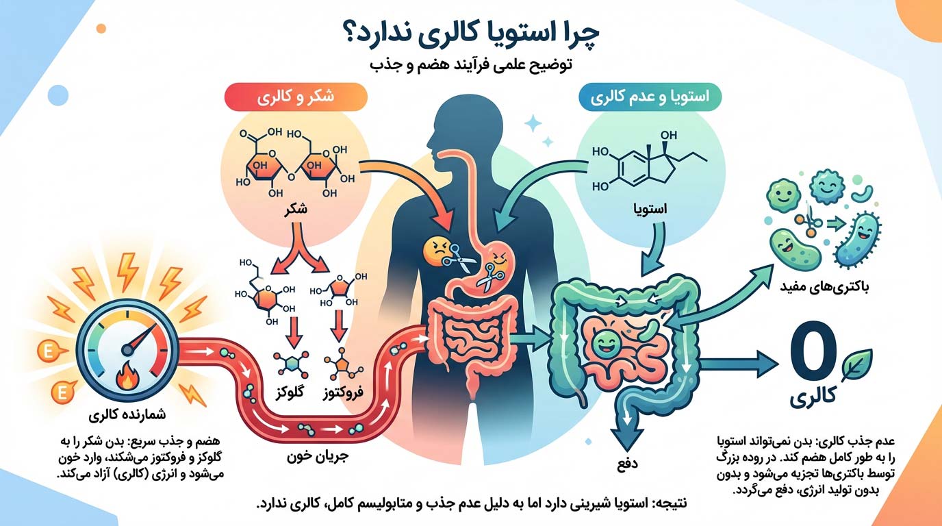 چرا استویا کالری ندارد؟