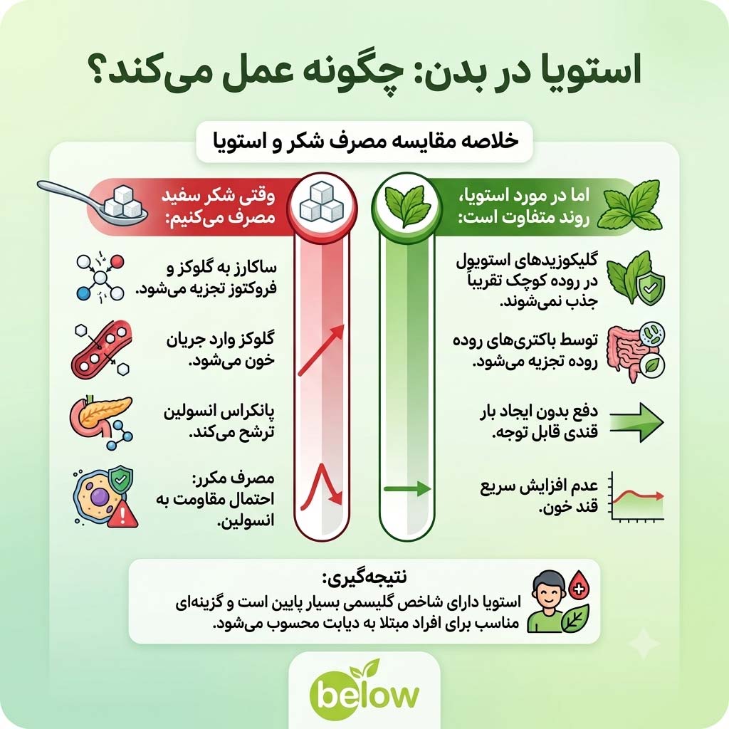 استویا در بدن چگونه عمل می‌کند؟