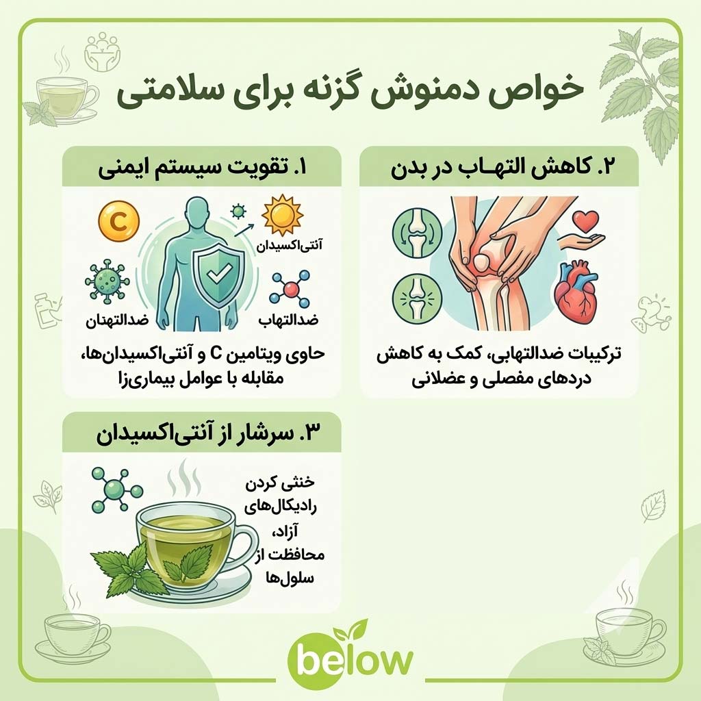 خواص دمنوش گزنه برای سلامتی