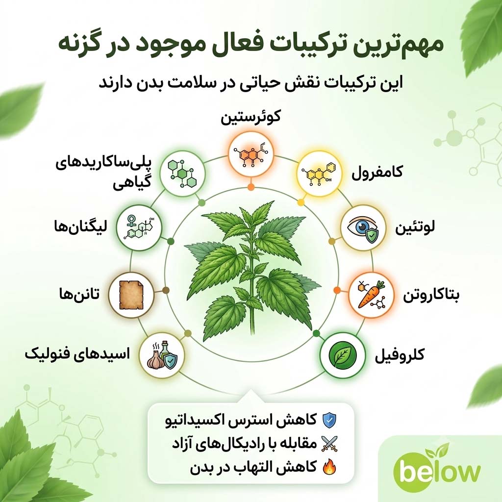 مهم‌ترین ترکیبات فعال موجود در گزنه