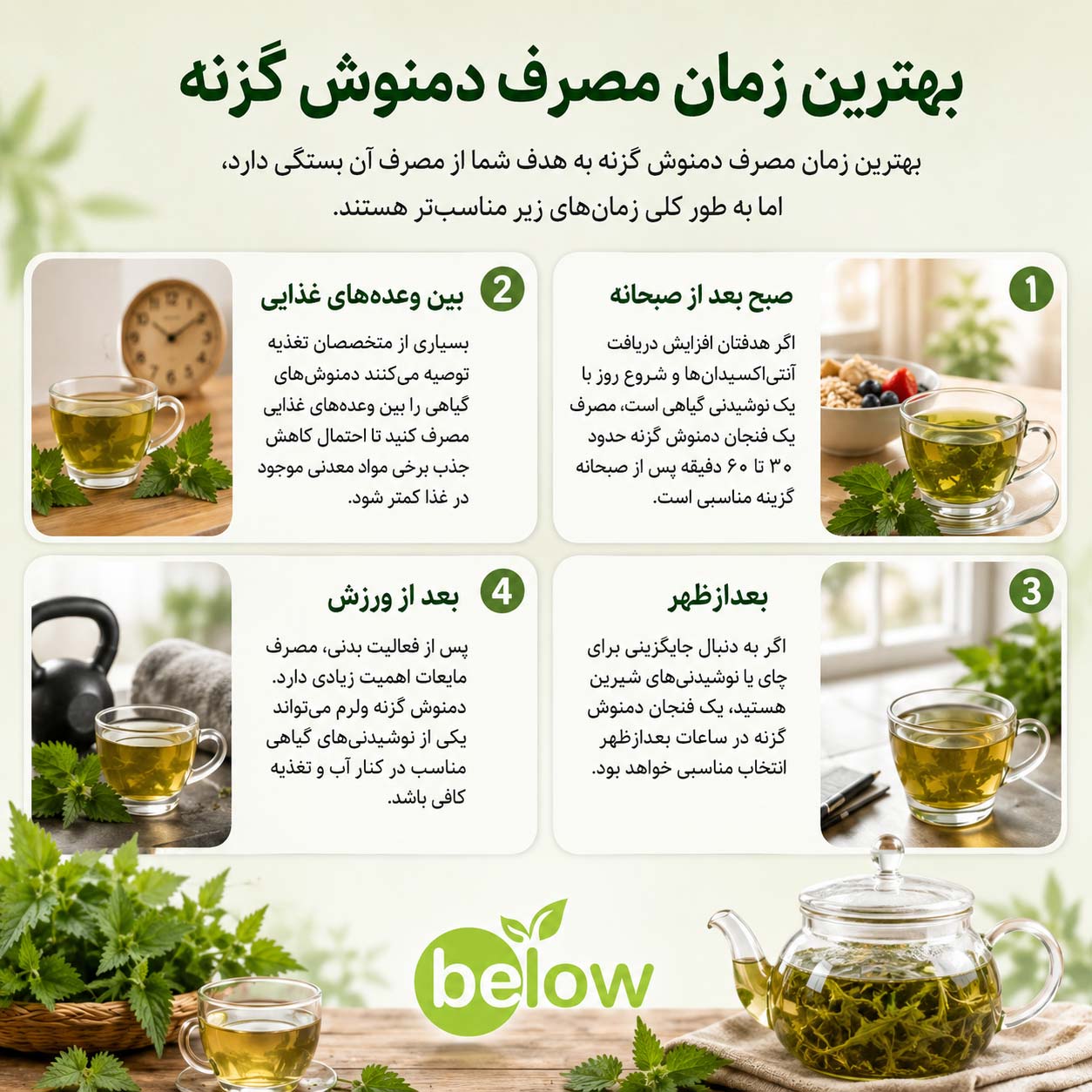 بهترین زمان مصرف دمنوش گزنه