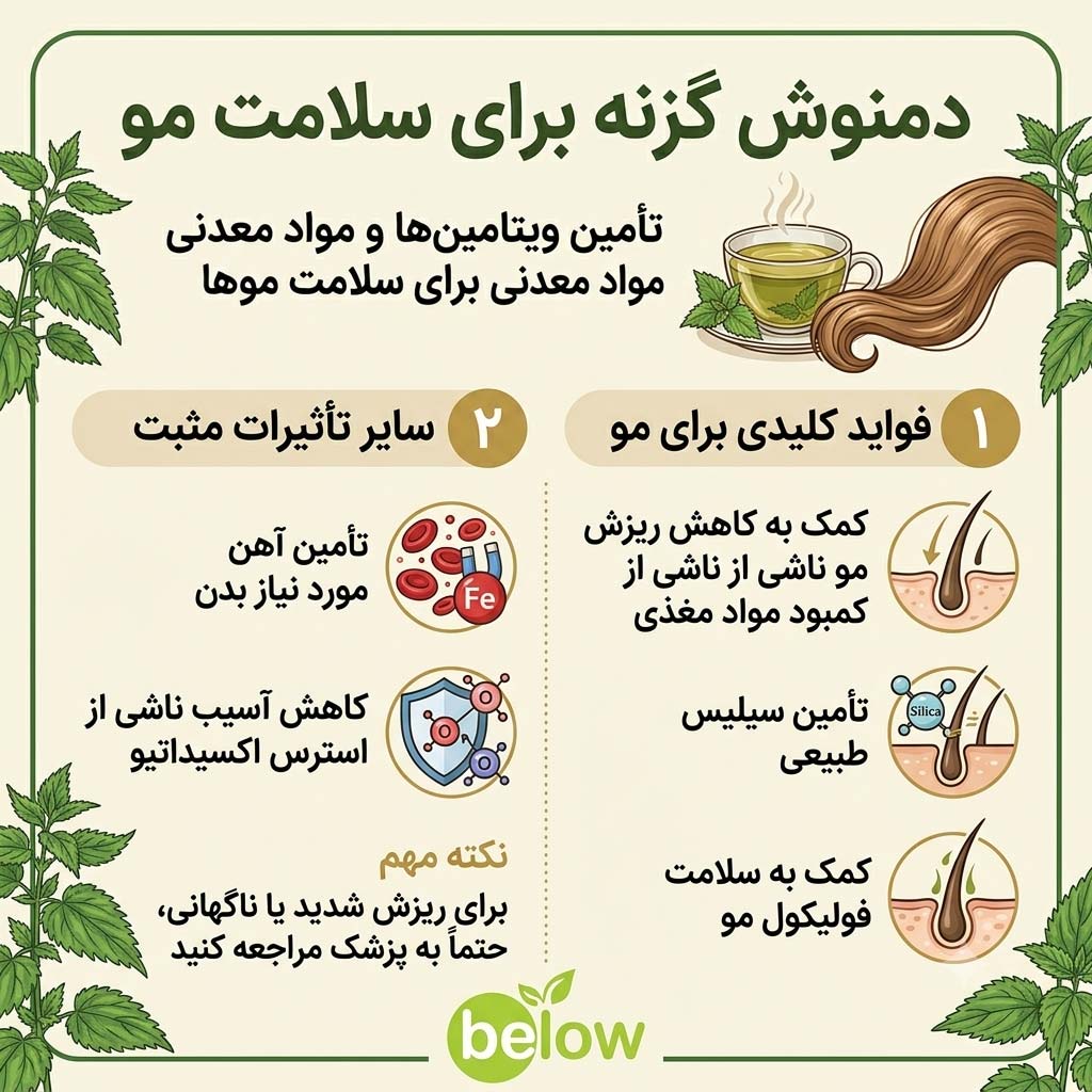 دمنوش گزنه برای مو