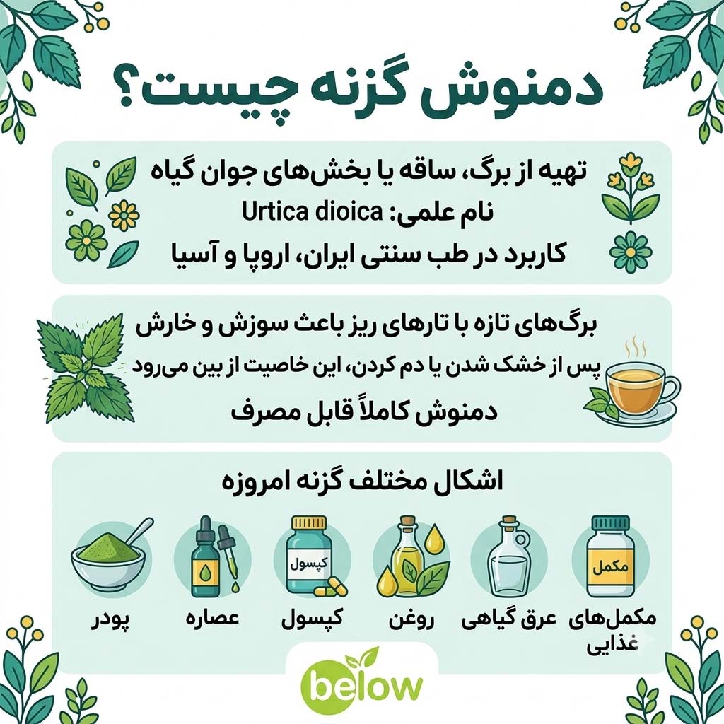 دمنوش گزنه چیست؟