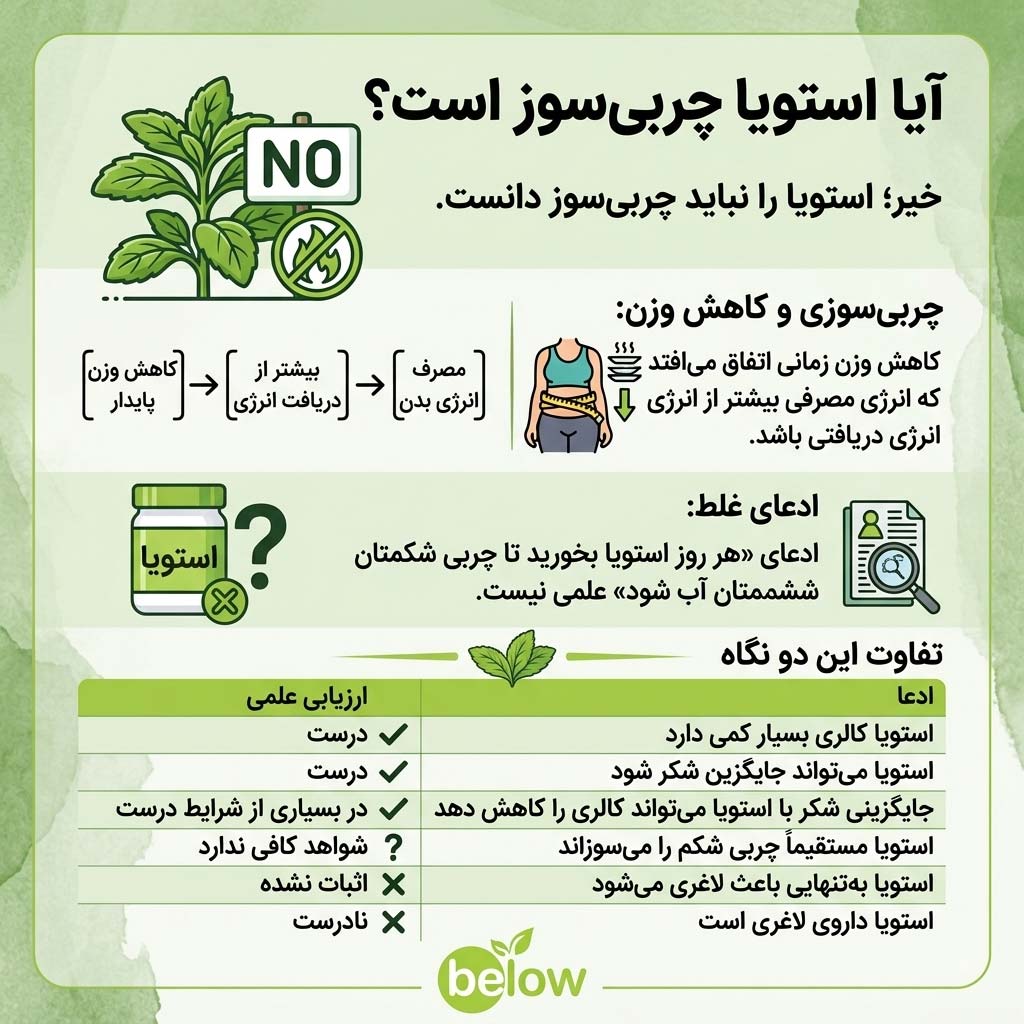 آیا استویا چربی‌سوز است؟