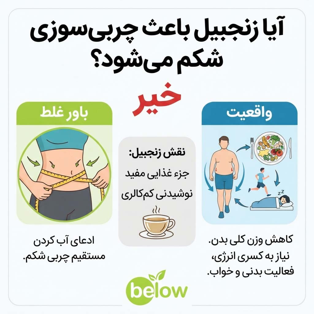 آیا زنجبیل باعث چربی‌سوزی شکم می‌شود؟