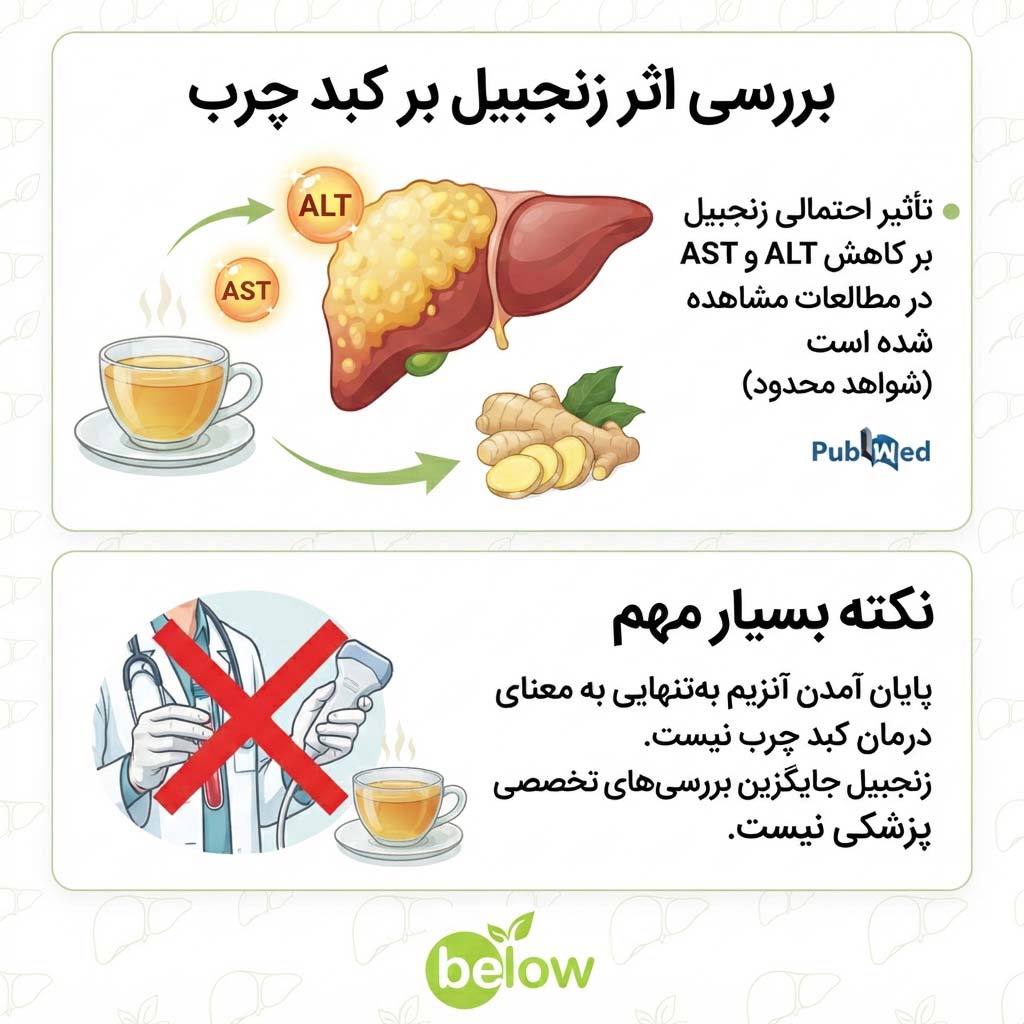 خواص زنجبیل برای کبد چرب